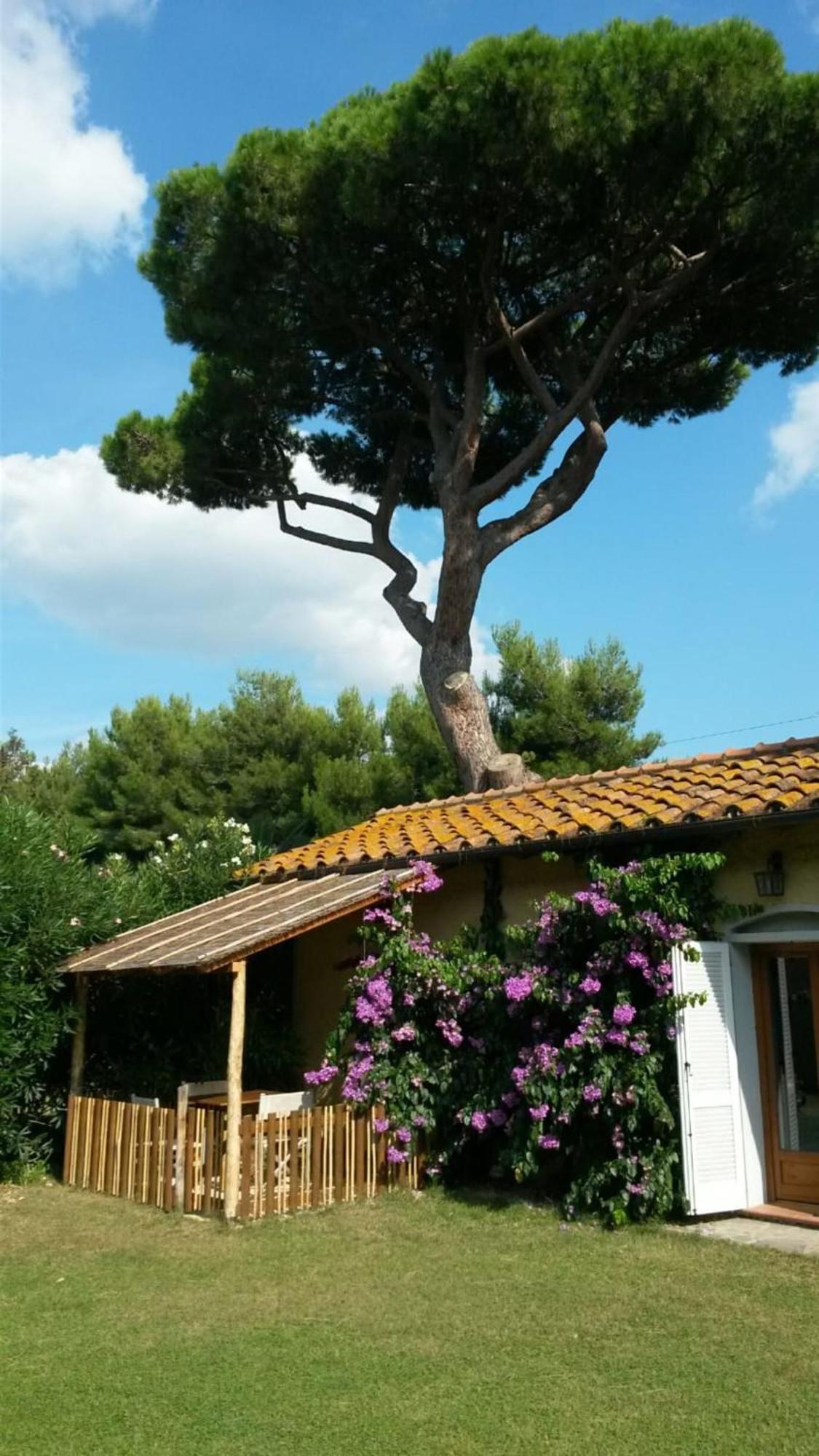 Villa I Cavalleggeri Castagneto Carducci Exterior foto